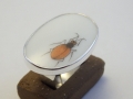 ring Silver 925° Porcelain